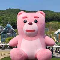 핑크밸리곰 찾아 가본 타임빌라스
