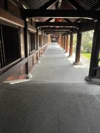 【上海の古刹】500年の歴史ある宝山寺でまったり