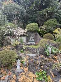 探索鎌倉長谷寺🌿 觀音菩薩與弁天窟的神秘魅力