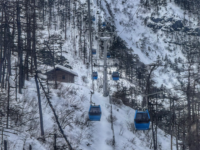 Lost in the Beauty of Yunnan: From Ancient Towns to Snowy Peaks! ❄🏯🌿