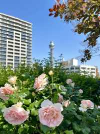 Spring Blooms at Yamashita Park🌷