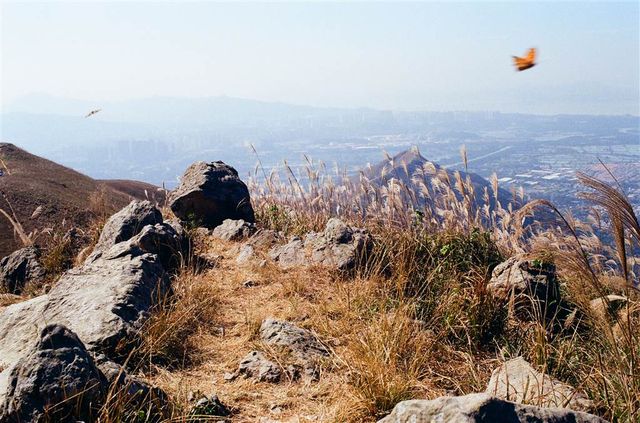 Fantastic Views of New Territories West at Kai Kung Leng