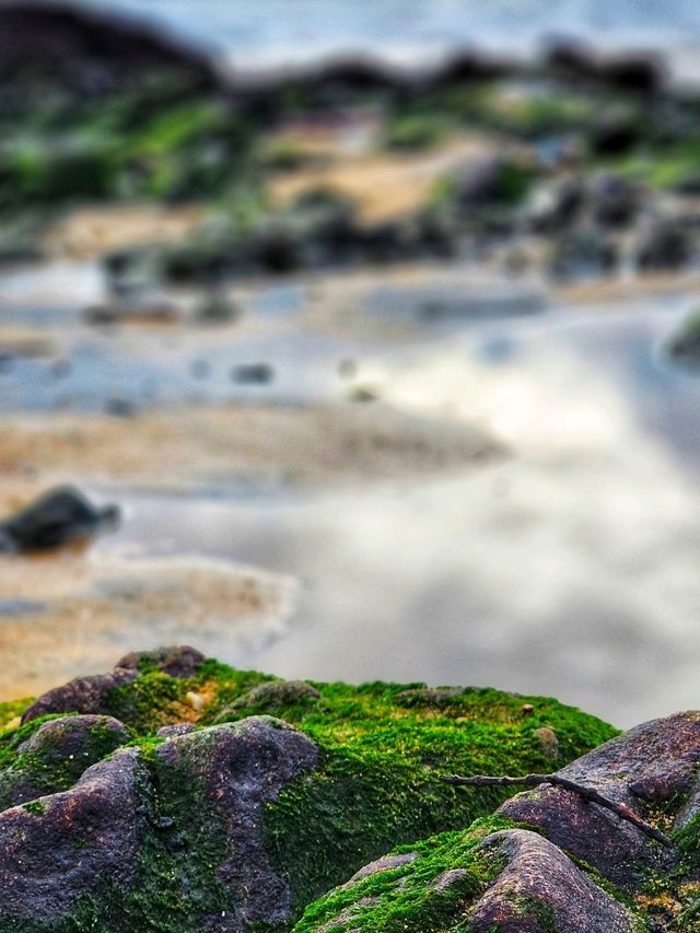 หาดสวย จ.พังงา