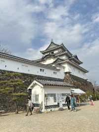 แจกแพลนเที่ยว OSAKA 8 วัน 7 คืน ไปเที่ยวกัน!!