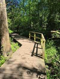 Fletcher Moss Botanical Gardens