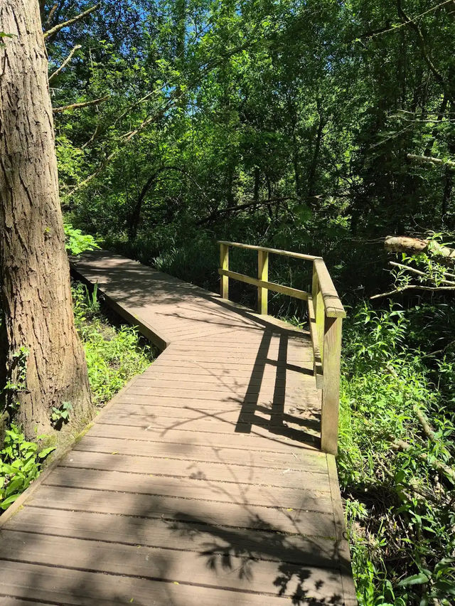 Fletcher Moss Botanical Gardens