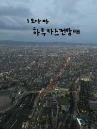 일본의 주요 전망대 모음집 🎶✨