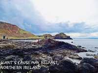 Spring Awakens at the Giant’s Causeway