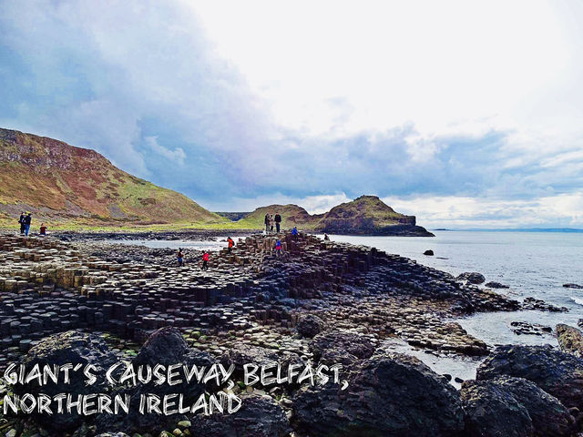 Spring Awakens at the Giant’s Causeway