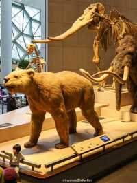 Shanghai Natural History Museum สุดอลังการว้าวสุดๆ