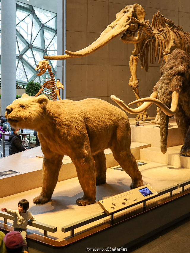 Shanghai Natural History Museum สุดอลังการว้าวสุดๆ
