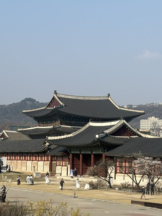 경복궁 나들이 가보자