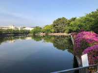 歴史感じるまち歩き！旧東海道・桑名宿をぶらり旅⛩️✨