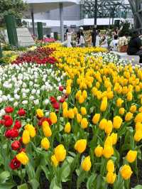 สวนดอกไม้เมืองหนาวระยอง