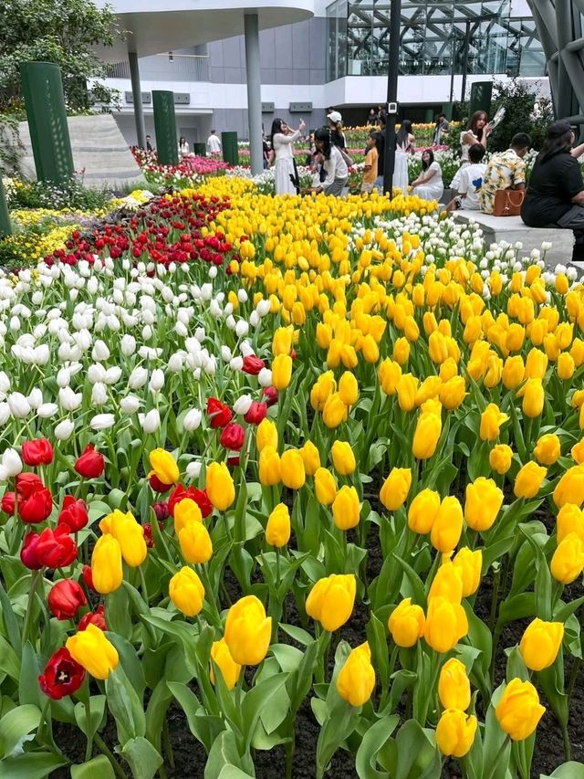 สวนดอกไม้เมืองหนาวระยอง