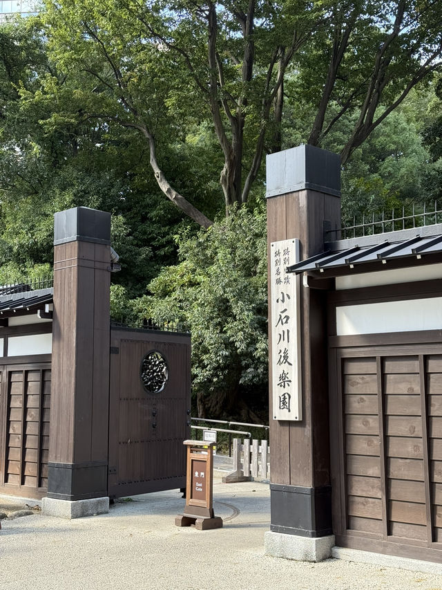 歷史與文藝的完美碰撞！東京一日遊 🍵✨ #東京行程