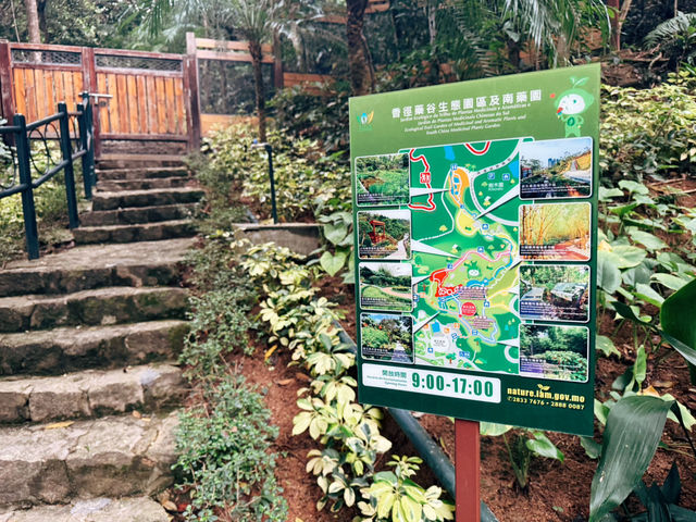 🏞️澳門隱藏版親子祕境！石排灣郊野公園一日遊攻略🐼