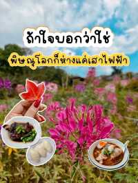 พิษณุโลก 5 วัน 4 คืน แบบไปเรื่อยๆ ไม่รีบ 🍁🌸