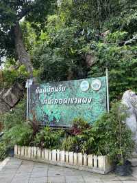 ถ้ำน้ำลอดเขาแดง จ.พัทลุง 