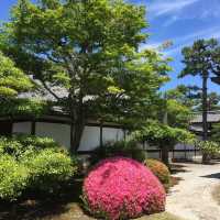 走進二条城，穿越回幕府時代的歷史現場