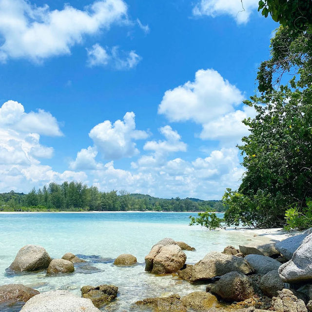Trikora Beach: A Tropical Paradise 