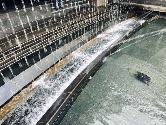 城市裡的浪漫驚喜｜大安森林公園站水舞秀