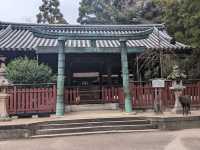 【広島】嚴島神社で海に浮かぶ鳥居を見る！