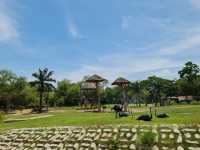 Khao Kheow Open Zoo 