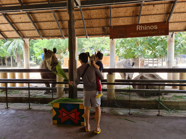 Khao Kheow Open Zoo 
