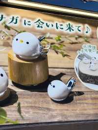 HOKKAIDO EP4: Otaru