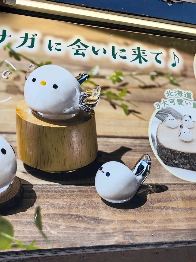 HOKKAIDO EP4: Otaru