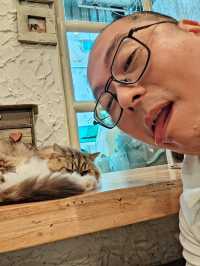 Caturday fuur cat lovers in downtown Bangkok