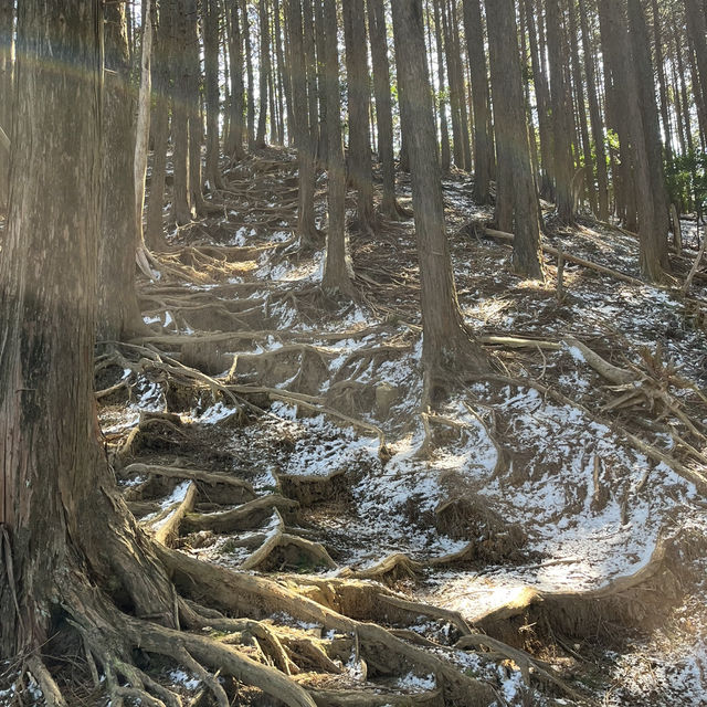 【錫杖ヶ岳】⛰️ 東海の百山