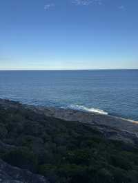 【シドニー】電車とフェリーで行ける大自然！Royal National Park で癒しのトレイル旅