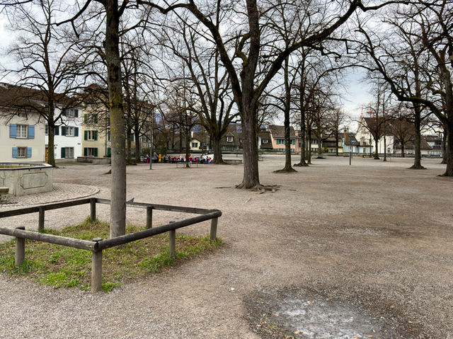 【街を見下ろす隠れ絶景】リンデンホフの丘（チューリッヒ）🌳🏙️