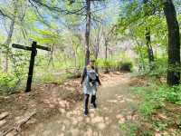 Hike Through The Magic of Hanyangdoseong