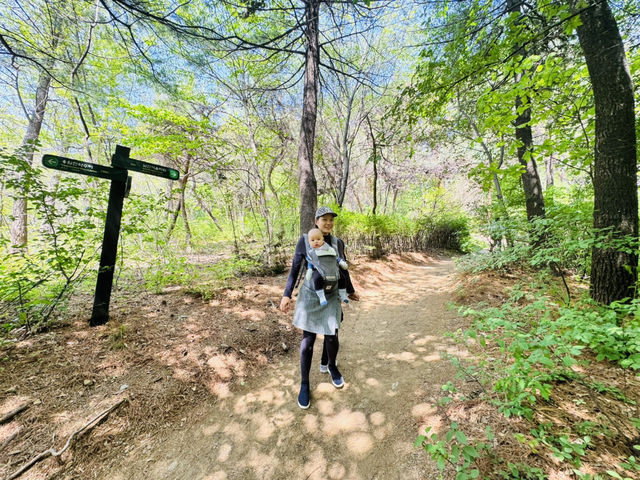 Hike Through The Magic of Hanyangdoseong