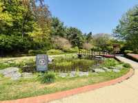 Hike Through The Magic of Hanyangdoseong