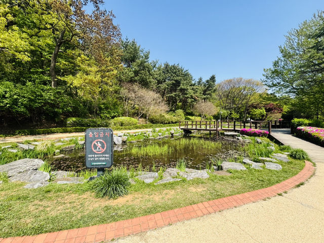 Hike Through The Magic of Hanyangdoseong