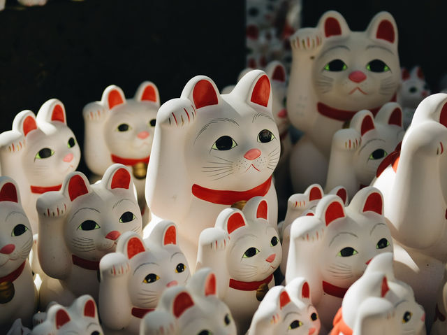 東京🇯🇵日本最萌貓咪神社⛩️豪德寺🐱