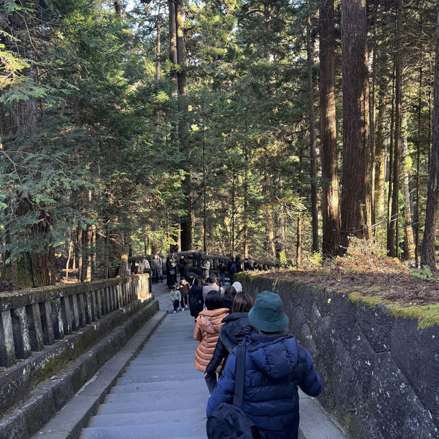 Nikko เมืองที่มองวิวก็ชื่นใจ🍁
