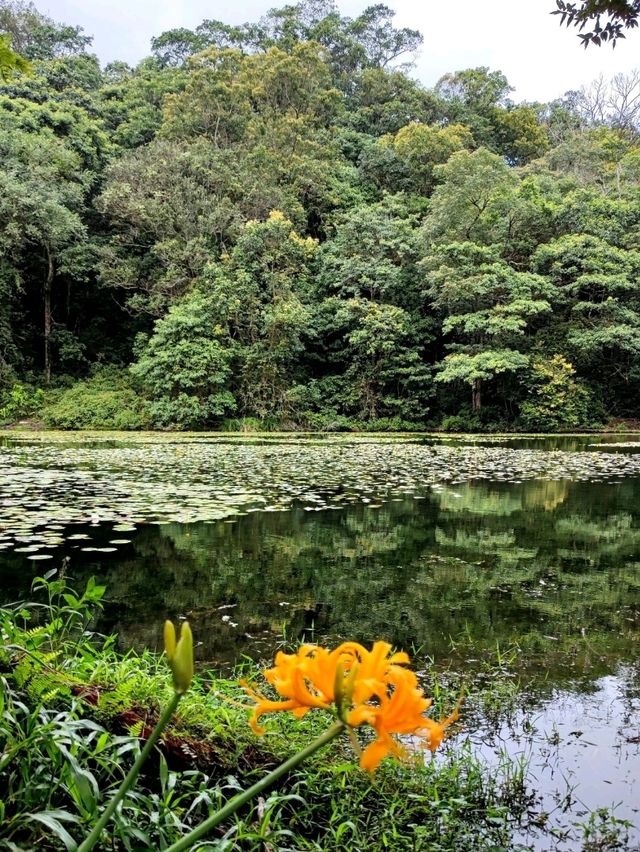 #福山植物園-新北市烏來區