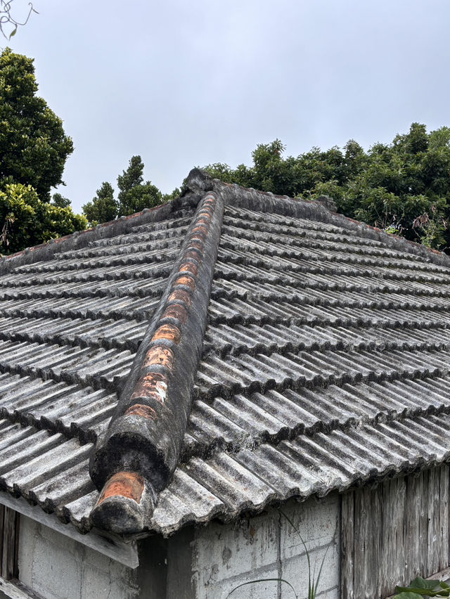 遺世獨立的離島