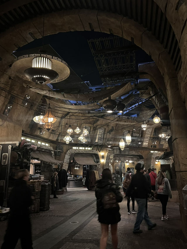 スターウォーズの世界へ🌏inフロリダディズニー