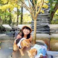 走訪陽明山散策尋美食
