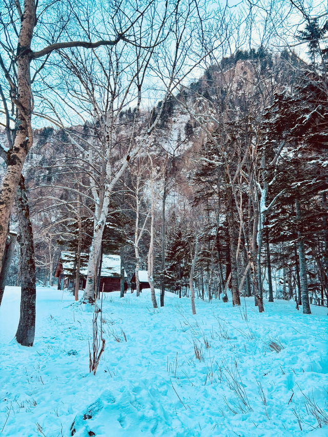 【北海道】層雲峽：被冰封的流星瀑布和銀河瀑布