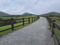 Yangmingshan is Taipei’s wild side