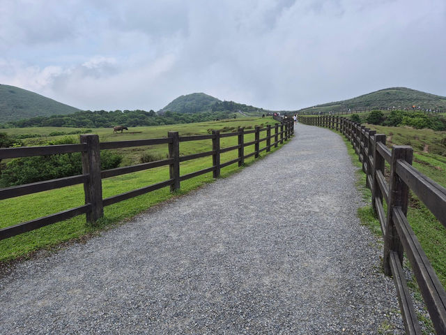 Yangmingshan is Taipei’s wild side