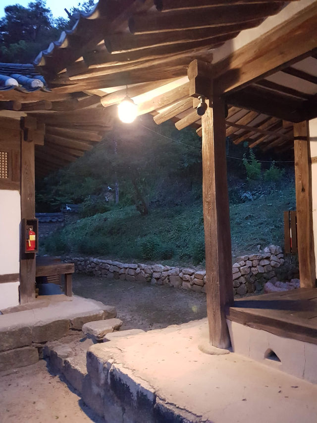 🌊 “낙동강 절벽 아래 고요히 머문 시간 – 안동 옥연정사”