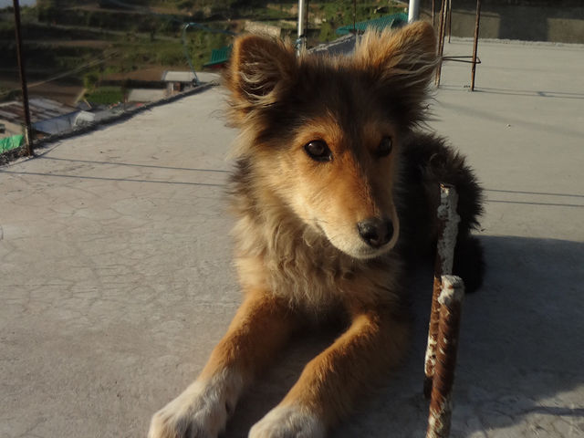 Authentic Life in Uttarkashi🥰🇮🇳✨